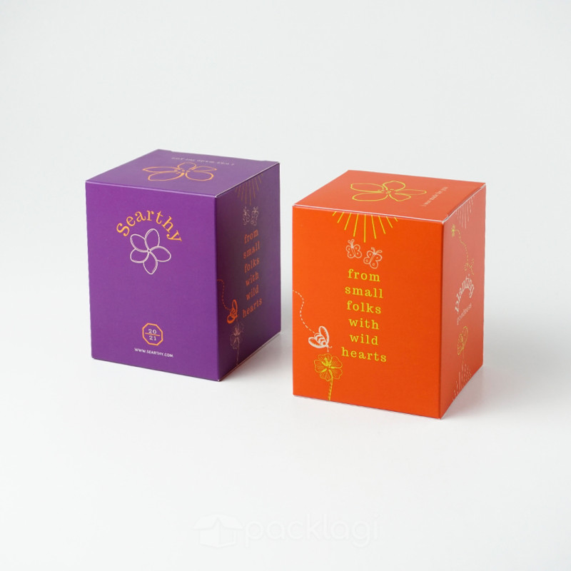 softbox lipat packaging